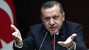 أردوغان: لا يمكن القضاء على الإرهاب بالقصف الجوي فقط