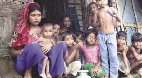معاناة وهموم الأقليات المسلمة في العالم.. المسلمون في ميانمار، بورما.