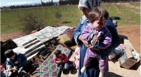 الأمم المتحدة: انعدام الأمن الغذائي لـ 74% من النازحين السوريين