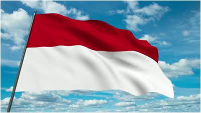 السفير العراقي لدى إندونيسيا : انضمام 53 مواطنا إندونيسيا للدولة الإسلامية