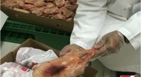 ضبط طن دجاج فاسد مخصصاً للحجاج في مكة