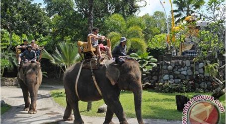 إندونيسيا: إرتفاع السياح الصينيين المتوجهين إلى بالي بنسبة 45.76  فى المئة