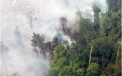 إندونيسيا: السيطرة على حرائق الغابات بعد عملية الأمطار الاصطناعية