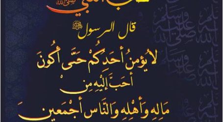 وجوب العمل بسنة الرسول صلى الله عليه وسلم وكفر من أنكرها