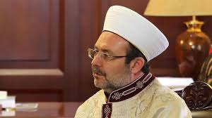 رئيس الشؤون الدينية التركية: الرسول استنكر قَتلَ حشرة حرقاً فكيف بإنسان!
