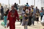 استشهد 33 لاجئاً فلسطينياً في سوريا خلال شهر يناير الماضي.
