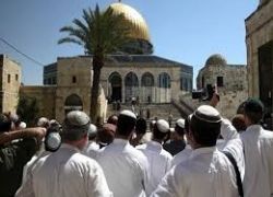 فلسطين.. 134 مستوطنًا يهوديًّا يقتحمون المسجد الأقصى المبارك