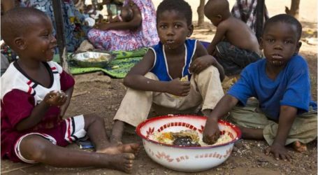الأمم المتحدة: 3 ملايين مالي غير مكتفين غذائيا