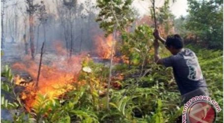 إندونيسيا ترسل الآلاف لمكافحة حرائق الغابات في جزرها الشمالية