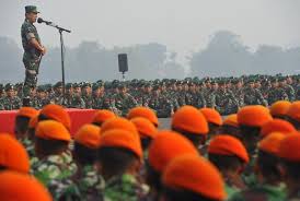 أكثر من ألف جندى تنشرهم اندونيسيا لمكافحة حرائق الغابات