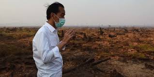 جوكو ويدودو : 6 دول تساعد إندونيسيا في مكافحة حرائق الغابات