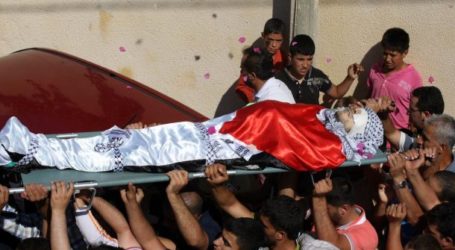 ارتفاع عدد شهداء إلى 35 شهيدا بعد استشهاد شاب غزة