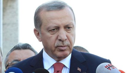 تركيا : أردوغان يعزي بوتين في ضحايا الطائرة الروسية المنكوبة