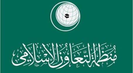 اجتماع بين الجامعة العربية ومنظمة التعاون الاسلامي