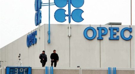 أوبك تتوقع تراجع “تخمة” معروض النفط الخام بسبب هبوط أسعاره