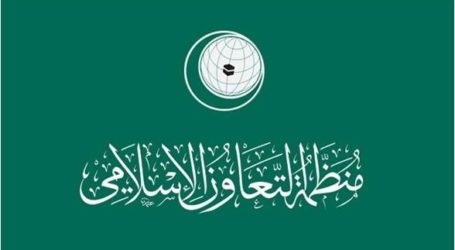 منظمة التعاون الإسلامي تنشئ وحدة لمراقبة الانتخابات في دولها الأعضاء