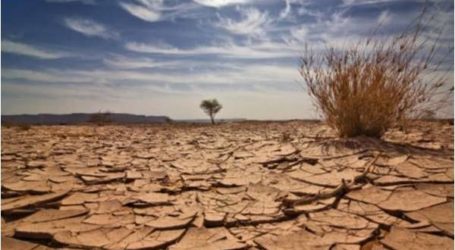 ولاية بجنوب السودان تتعرض لمجاعة بسبب الجفاف