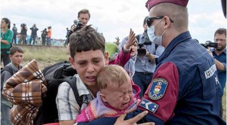 صدمة في هولندا لفشل برامج دمج اللاجئين