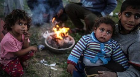 فلسطين: (IHH) التركية توزع طرودا غذائية على أسر فقيرة في غزة