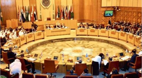 مصر تعلن تمسكها بالمبادرة العربية للسلام كإطار لحل القضية الفلسطينية