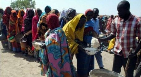 مصرع أكثر من 200 نازح نيجيري جراء الجوع والعطش خلال شهر