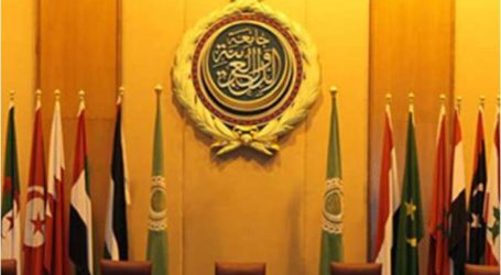 الجامعة العربية تأمل أن تقوي القمة المقبلة العمل الوحدوي