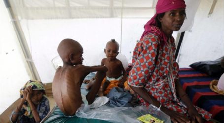 “يونيسيف”: 75 ألف طفل نيجيري مهددون بالموت بسبب المجاعة