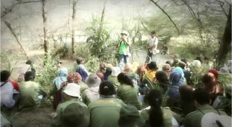 حرائق غابات أندونيسيا «تُقصر» الأعمار في جنوب شرق آسيا