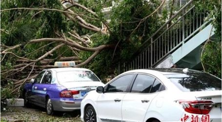 مقتل وفقد 28 شخصا في الصين وتايوان جراء إعصار ميرانتي