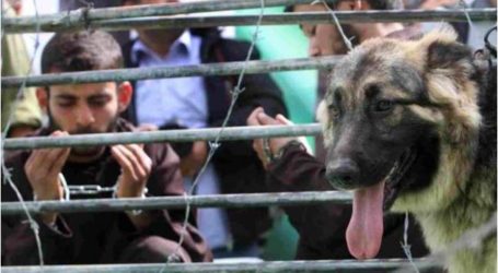 وقفة غاضبة في غزة تنديداً بوفاة معتقل فلسطيني داخل السجون الإسرائيلية