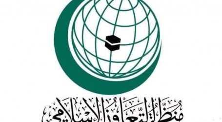 منظمة التعاون الاسلامي تجتمع لبحث موضوع الصواريخ الحوثية