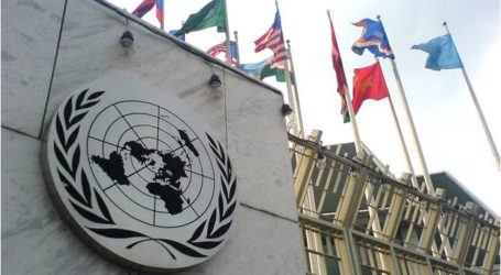 الأمم المتحدة تدعو لوقف القتال في حلب “على وجه السرعة”