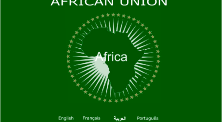 رئيس مالي الأسبق: العمل الجماعي يحقق الوحدة الأفريقية الكاملة