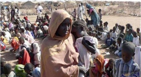 الأمم المتحدة: 80 ألف طفل نيجيري سيواجهون الموت جراء المجاعة