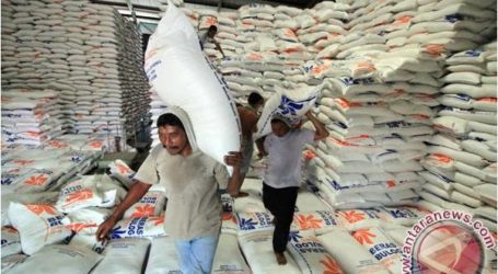 مخزون الأرز الإندونيسي كافي حتى مايو 2017