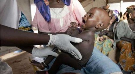 الفاو: 120 ألف نيجيري يواجهون المجاعة بسبب بوكو حرام