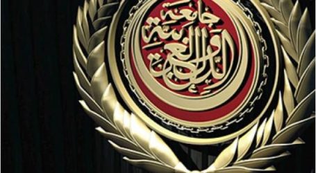 الجامعة العربية تبحث دعم خطط التنمية في الدول العربية