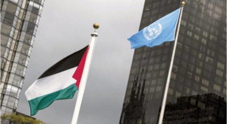 القضية الفلسطينية في طريقها إلى مجلس الأمن