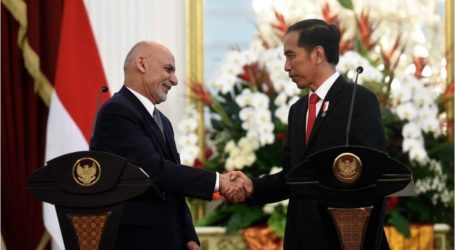 التعاون بين إندونيسيا وأفغانستان للتركيز على التجارة والإستثمار