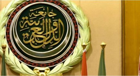 الجامعة العربية: أوضاع المنطقة تتطلب مزيداً من الجهود لحماية حقوق الإنسان