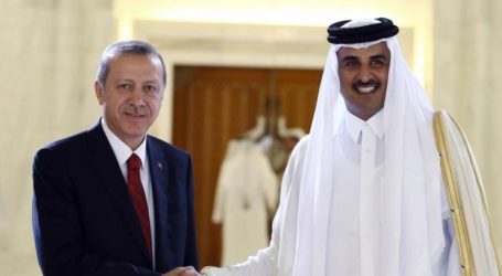 أمير قطر وأردوغان يبحثان سبل حل الأزمة الخليجية