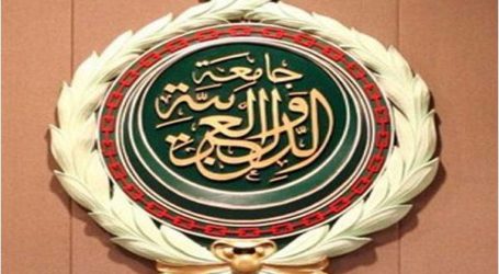 الجامعة العربية تبحث العمل العربي المشترك والتنمية المستدامة
