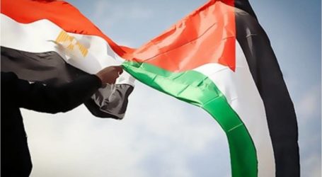 قمة فلسطينية مصرية في القاهرة الأحد المقبل