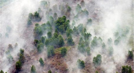 الوزير: ثلاث محافظات أخرى في خطرجراء حرائق الغابات هذا العام