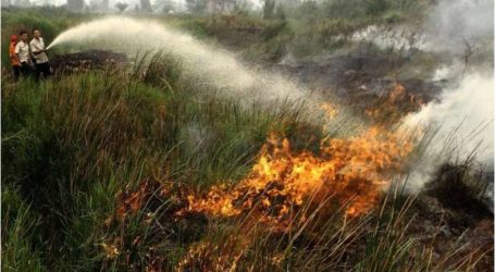 ثلاث مقاطعات إندونيسية أخرى معرضة لخطر حرائق الغابات هذا العام