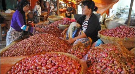إندونيسيا تصدر 5,600 طن من البصل إلى تايلاند