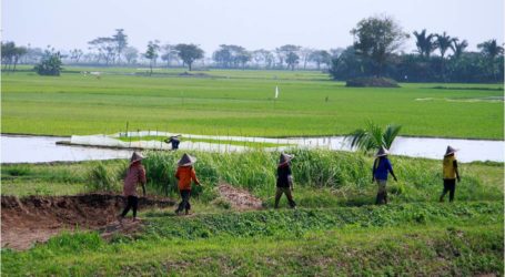 سكان سيرانج يبحثون عن المعلومات حول تلوث مياه النهر،مصدر عيش الأغلبية في المنطقة