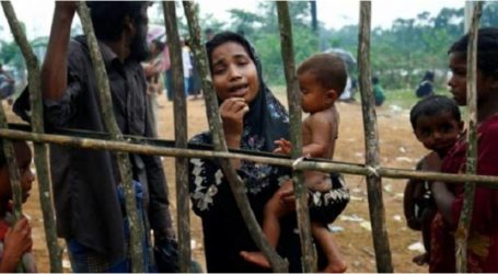 محلل تركي: الصراع في ميانمار ليس دينيا صرفا