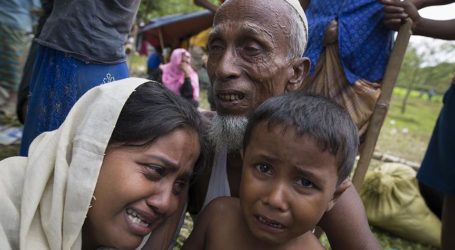 120 ألف طفل أراكاني أضطروا إلى اللجوء لبنغلاديش