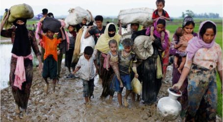 الأمم المتحدة :11 ألفا من مسلمي الروهينغا فروا الى بنغلادش في يوم واحد